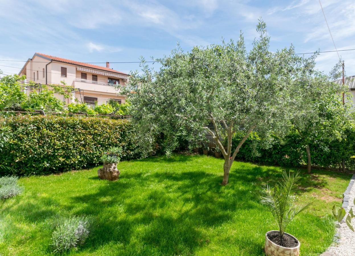 Lavanda Maslina - New Luxury Apartament *